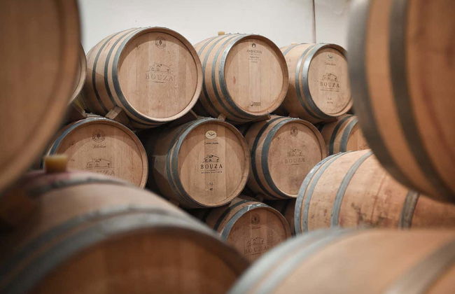 Visita a la Bodega Bouza - Foto 3