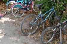 Mas en Provence - Photo 55