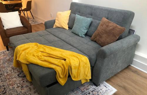 Mt Pleasant Retreat - Entire Brand New Apt in NW DC - Walk to Metro, Zoo, Adams Morgan - Parking, Dog Friendly - Foto 5