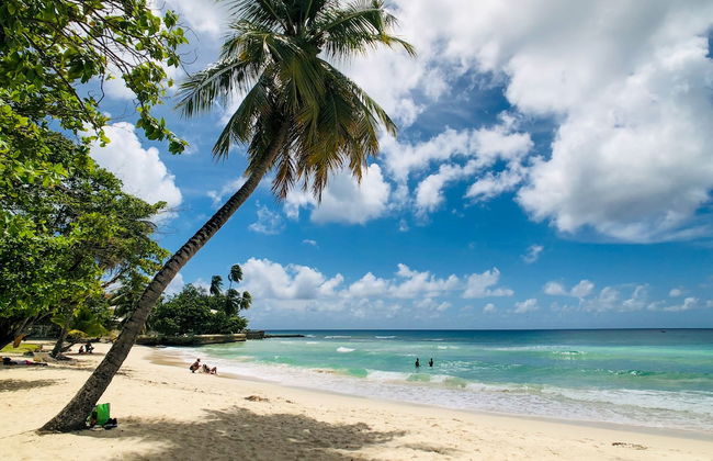 Blue Haven Holiday Apartments - Foto 34