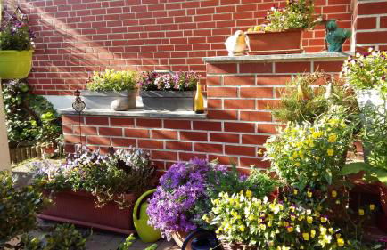 Romantikgarten - Foto 30