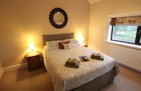 Moo Cow Cottage Self Catering - Photo 19