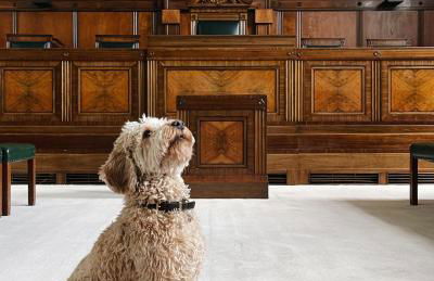 Town Hall Hotel - Shoreditch - Foto 23