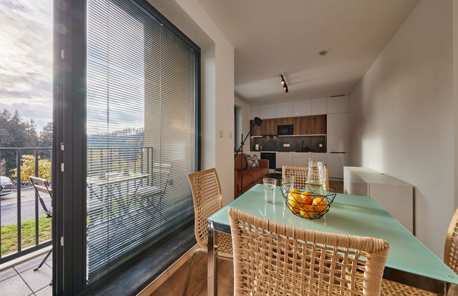 Černý Důl - Foto 16