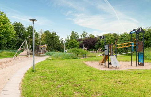 Seepferdchen - Foto 6