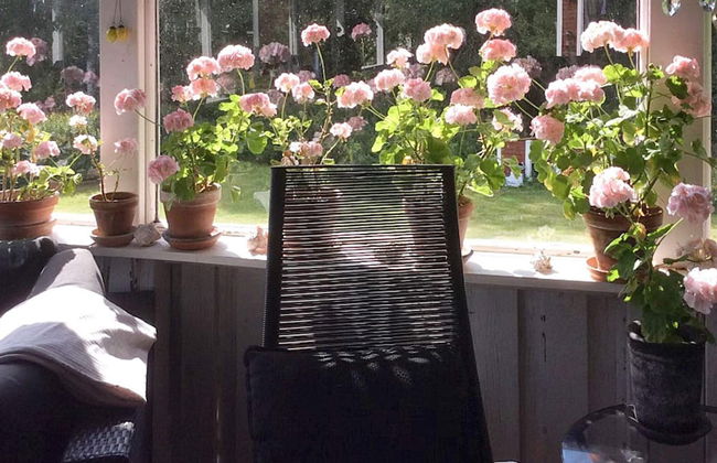 7 Person Holiday Home in Nassjo - Foto 32