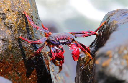 Esmeralda Cotillo Homes by LIVVO - Foto 90