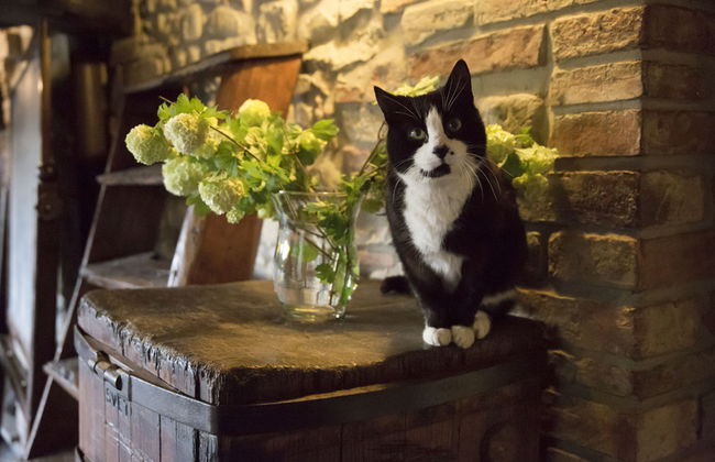 Borgo San Benedetto - Foto 50