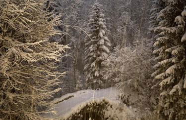 Le Moulin des Olirics - Photo 107