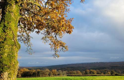 Gîte de la Doucette - Foto 23
