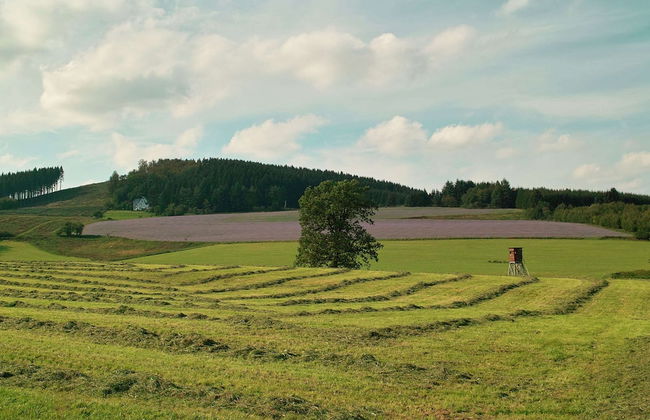Ruhige Wohnung im Sauerland mit Terrasse - Foto 24