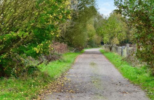 George Lodge - Foto 10