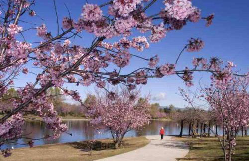 Endless summer in LA *HEATED POOL/HOT TUB/CABANA* - Foto 17