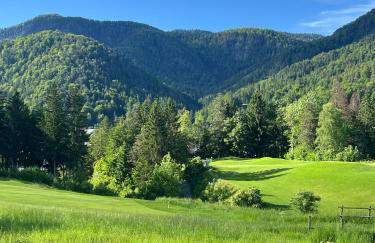 Mandi Mandi in pista - Foto 20