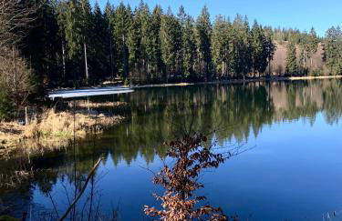 Rennsteig-Pension Trautwein - Foto 54