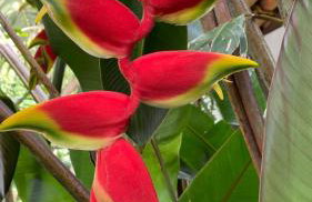 Sítio Martins com lazer completo em Ibiúna, SP - Photo 40