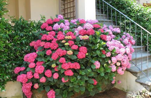 Borgo dei Cadolingi - Foto 20