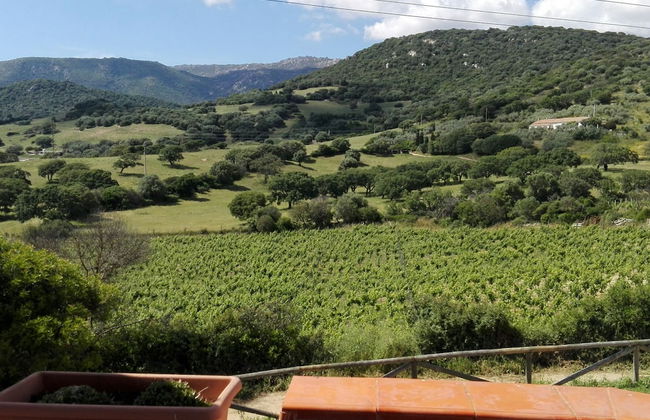 Agriturismo B&B Domo De Resteblas - Foto 51