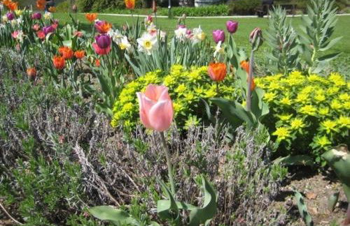 Haus an der Therme - Foto 12