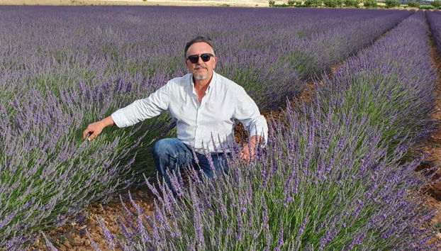 Contemplando i campi di lavanda