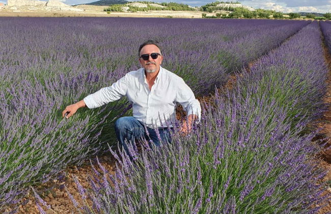 Tour della lavanda + Mulino del Romeral - Foto 2