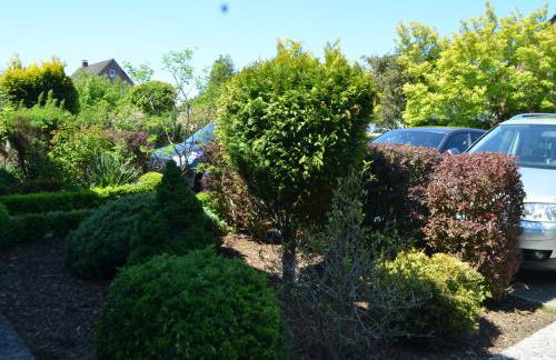 Yacht im Schiffehaus - Foto 24