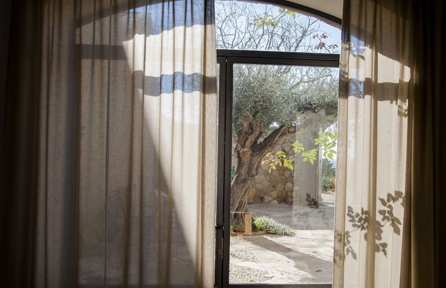 Fontes Episcopi - Foto 41