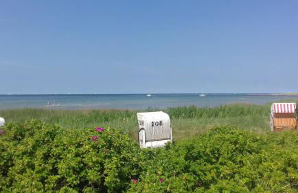 Ferienwohnung-Ostseestrand-in-Stein-bei-Laboe - Foto 11