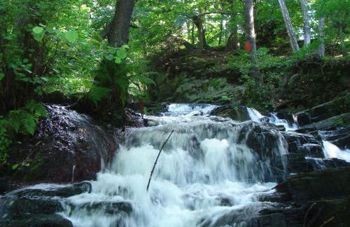 Chalet Harmonie - Foto 74