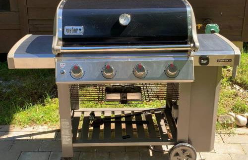 Amazing Acorn - Foto 31