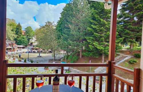 Majestic Vista Residence - Foto 8