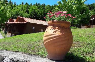 Livadaki Village - Δασικό Χωριό Λιβαδάκι - Foto 47