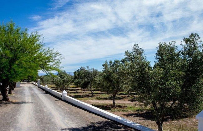 Olive Grove Guest Farm - Foto 32