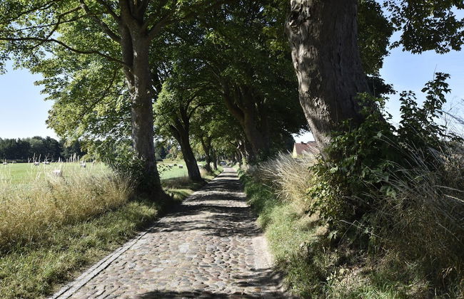 Einladender Bungalow in Kropelin mit Terrasse - Foto 23