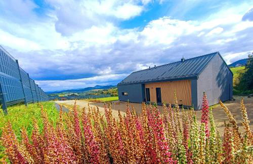 RosoChata313 Domek w górach z Sauną,Jacuzzi,Basenem "Panieński" ruska Bania - Foto 1