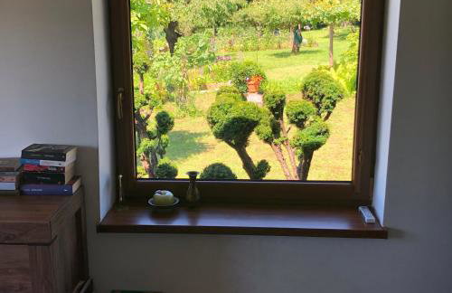 Czytelnia w Sadzie - Foto 15