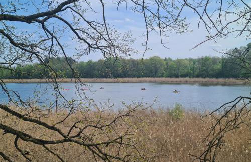 Przystań Natura - Foto 43