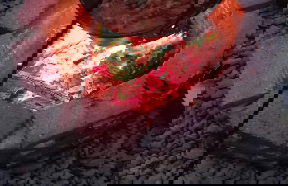 Lili's House - Photo 42