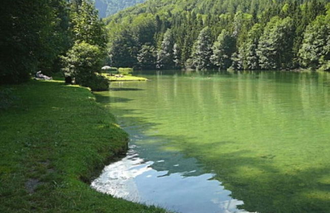 Staufenblick Roof Studio in the House - Photo 12