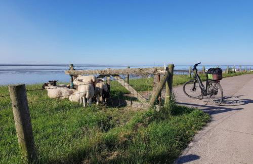 Holiday Home E15 Freistehendes Haus am Eckwarderhörner Deich by Interhome - Foto 23