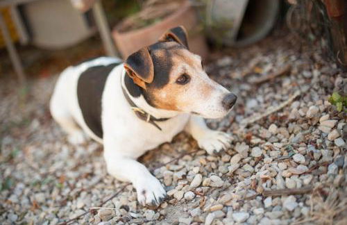 Podere il Poggiolo - Foto 145