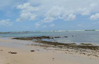 Blue House - Foto 18