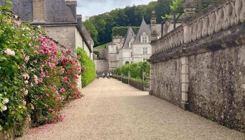Gîte tout inclus avec jardin, clim, Wifi, proche Château de Villandry et Loire à vélo - FR-1-381-587 - Foto 5