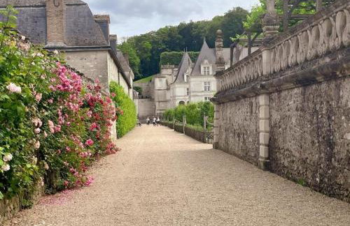 Gîte tout inclus avec jardin, clim, Wifi, proche Château de Villandry et Loire à vélo - FR-1-381-587 - Foto 5