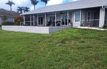 The Playful Pelican - Foto 9