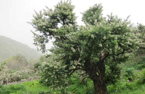 Villa Deluxe Suites Maspalomas - Photo 61