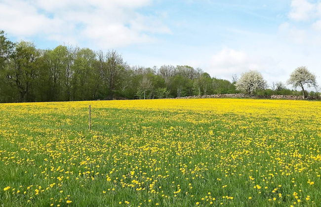 4 Person Holiday Home in Lerdala-by Traum - Foto 8