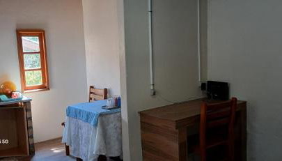 Canto da árvore - Foto 5