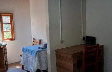 Canto da árvore - Photo 5