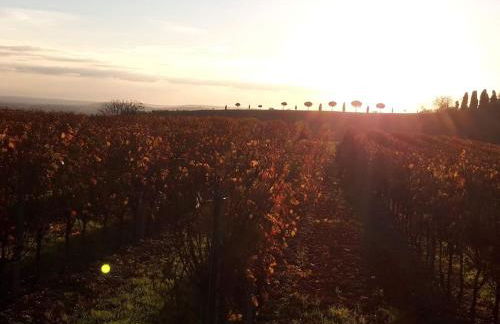 Villa Clair Soleil au cœur de la Toscane Occitane - Foto 46